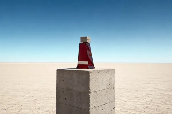 Desert monolith blueprint cover